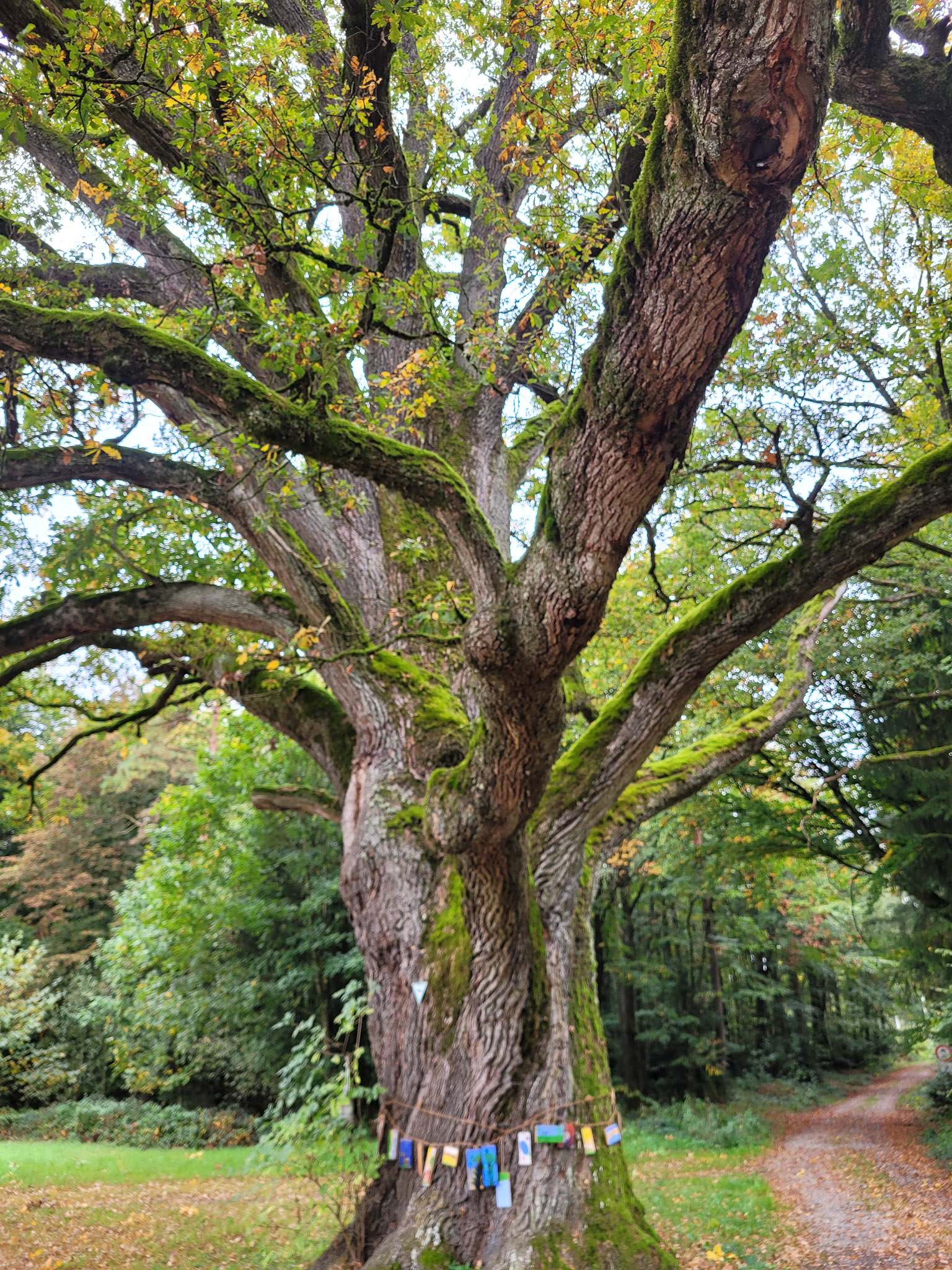 20231015105450 20231015 105450